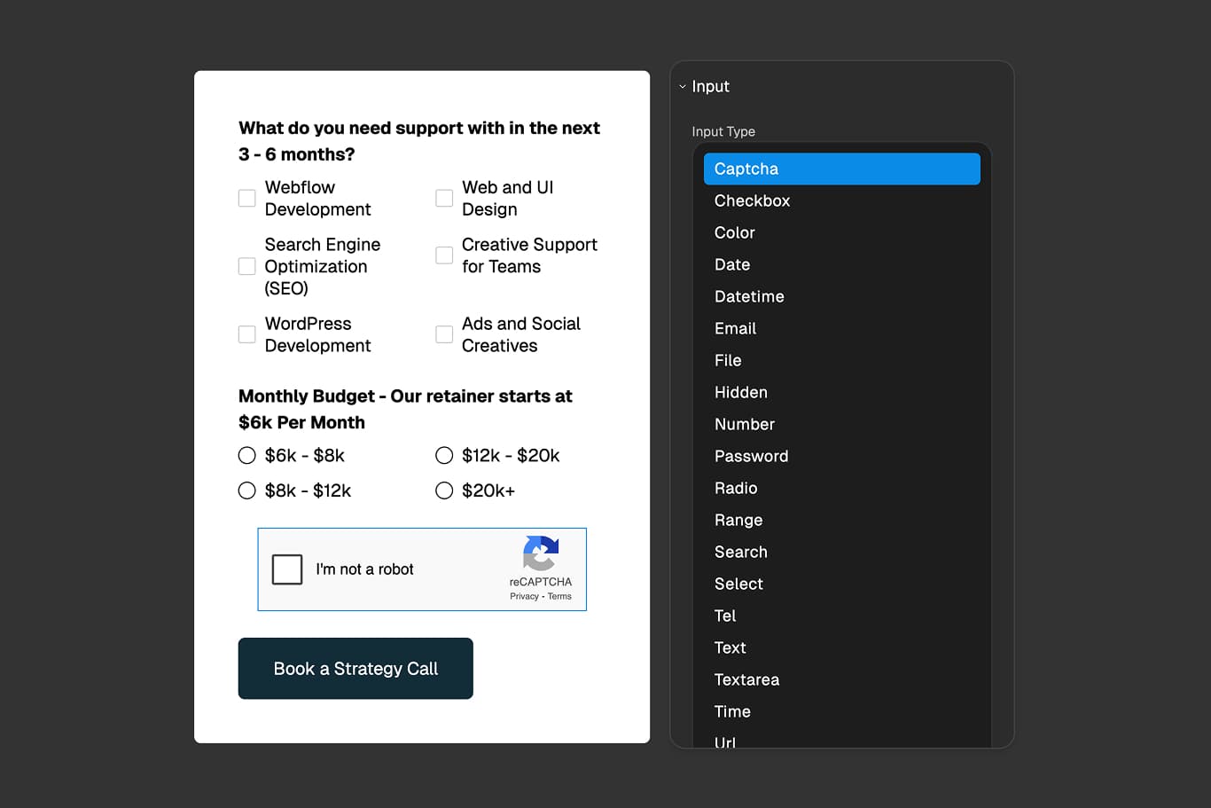 FigForm properties panel showing the Input Type dropdown menu expanded with Captcha option visible among other input types like Text, Email, Number, and File.