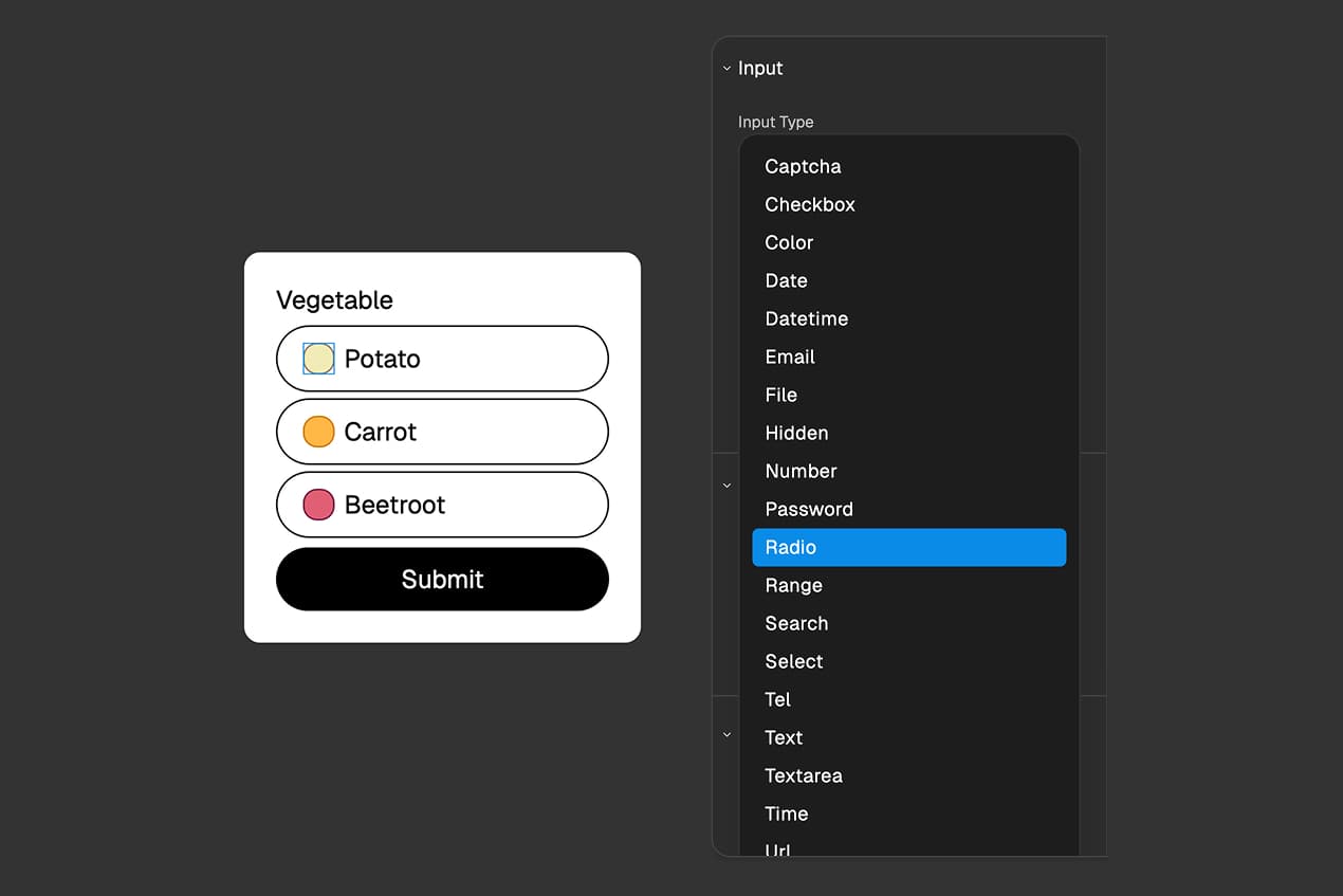 FigForm properties panel showing the Input Type dropdown menu expanded with Radio option highlighted among other input types like Text, Email, Checkbox, and File.